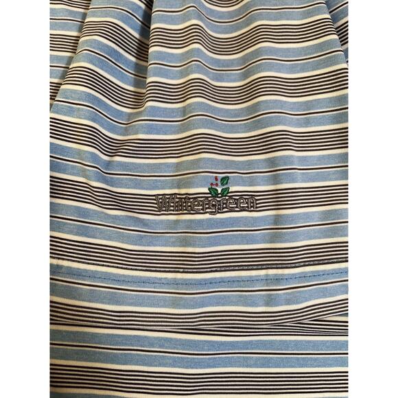 FootJoy Polo Shirt Mens L Blue Gray Striped Casual Golf Performance Wintergreen - Picture 4 of 6
